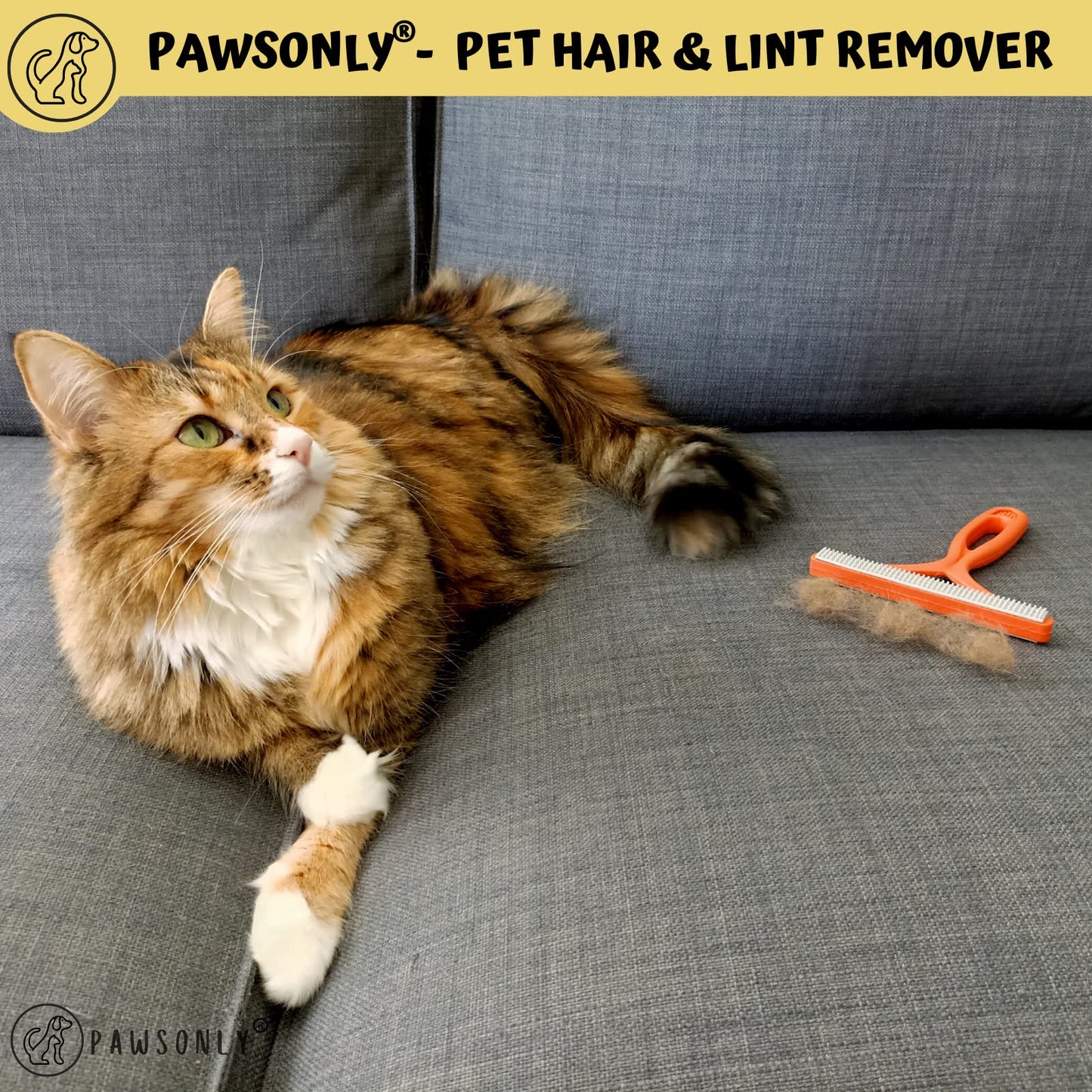 PawsOnly | Tierhaarentferner | Katzenhaarentferner | Hundehaare Entfernen | Fusselentferner fĂŒr Sofa Auto Teppich Kratzbaum Kleidung | Tragbarer | FusselbĂŒrste Tierhaare Pet Hair Remover (Orange)