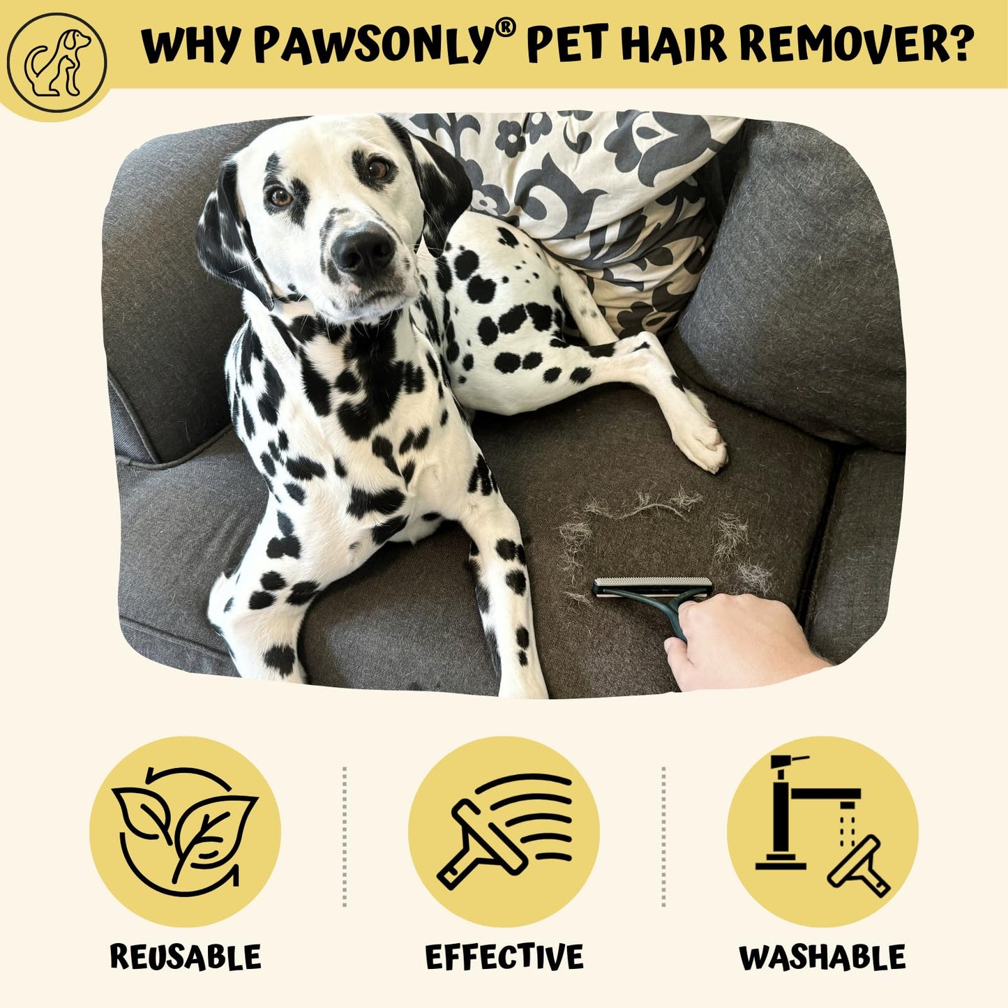 PawsOnly | Tierhaarentferner | Katzenhaarentferner | Hundehaare Entfernen | Fusselentferner fĂŒr Sofa Auto Teppich Kratzbaum Kleidung | Tragbarer | FusselbĂŒrste Tierhaare Pet Hair Remover (Orange)